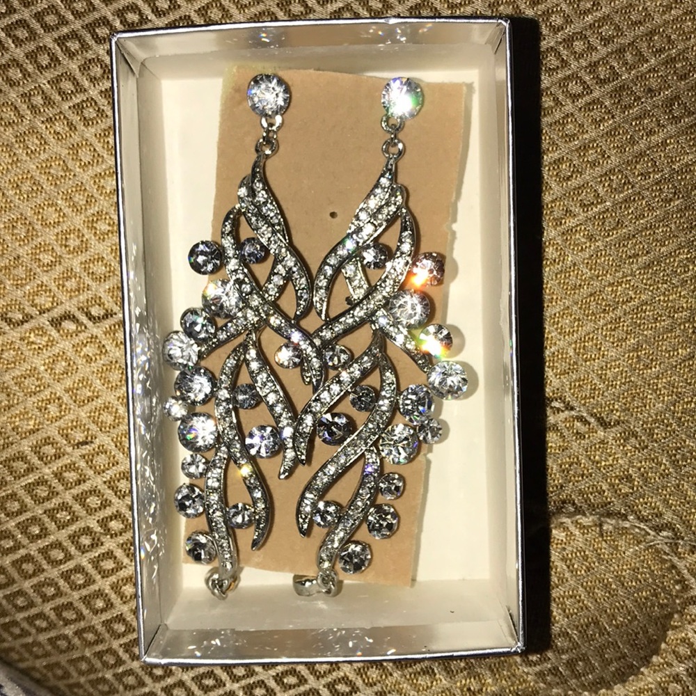 Long silver earrings